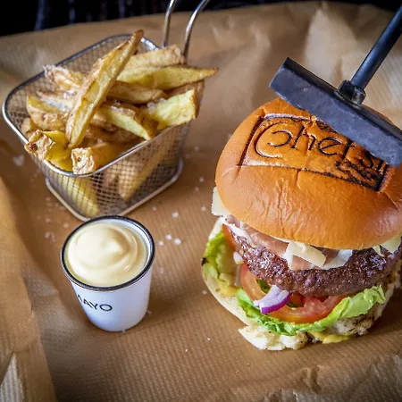 Leonardo 帕朋德列特