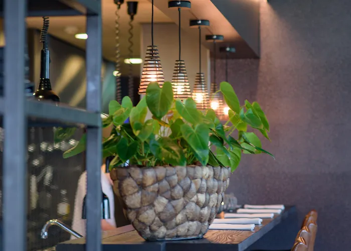 Leonardo 4* 파펜드레흐트